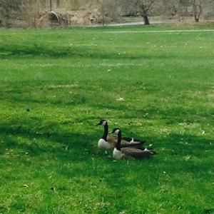 Meet your Posher, Mellisa